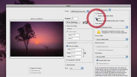 How to Print from Photoshop: A Comprehensive Guide with FAQs